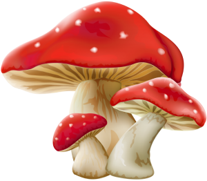 red mushrooms